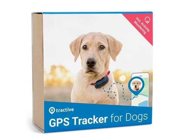 GPS dog