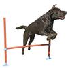 Agility Hop forhindring stang